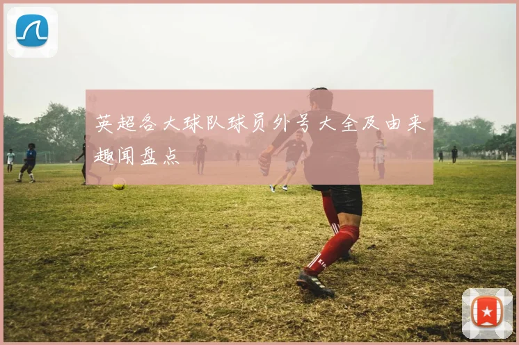 英超各大球队球员外号大全及由来趣闻盘点