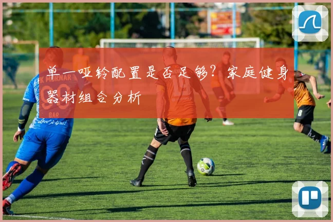 单一哑铃配置是否足够？家庭健身器材组合分析